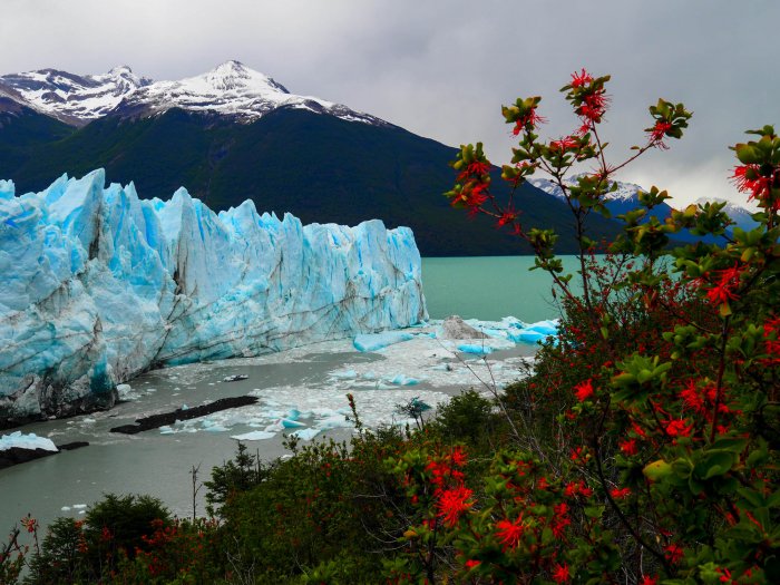 Argentina - Glaciares en la Patagonia